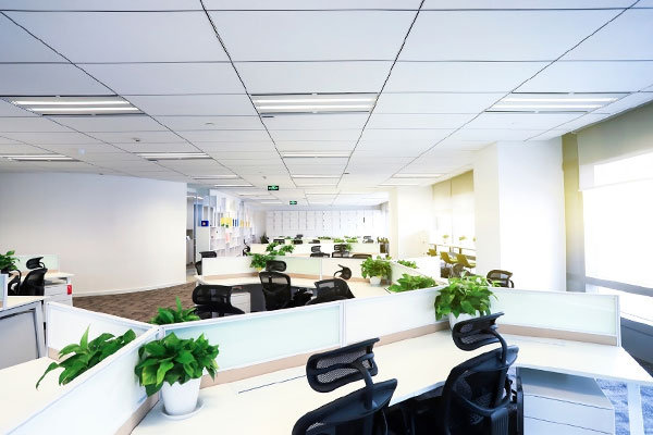 Modern commercial office cleaned by Cleaners at Work Melbourne